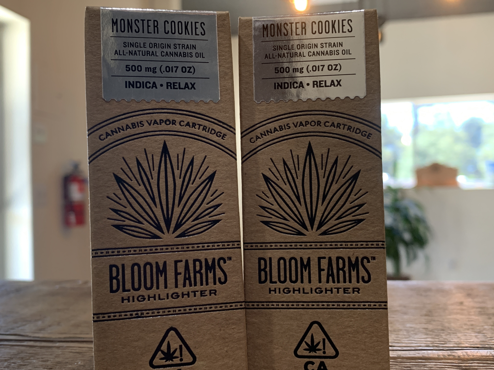 Bloom farms Monster Cookies half gram cartridge