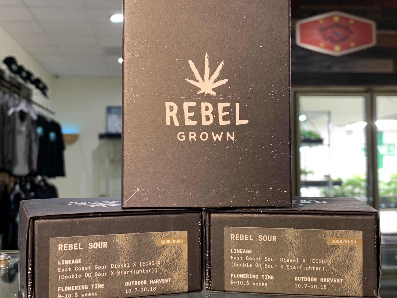 Rebel grown rebel sour seeds