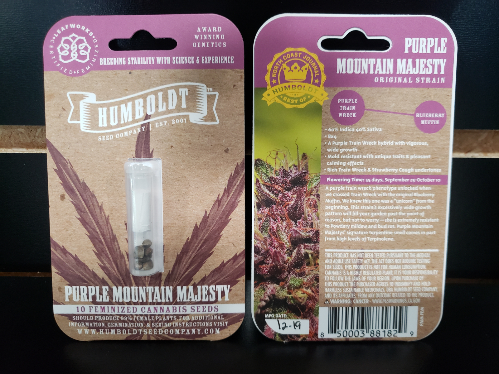 Humboldt Seed Co Purple Mountain Majesty Feminized 10 count 