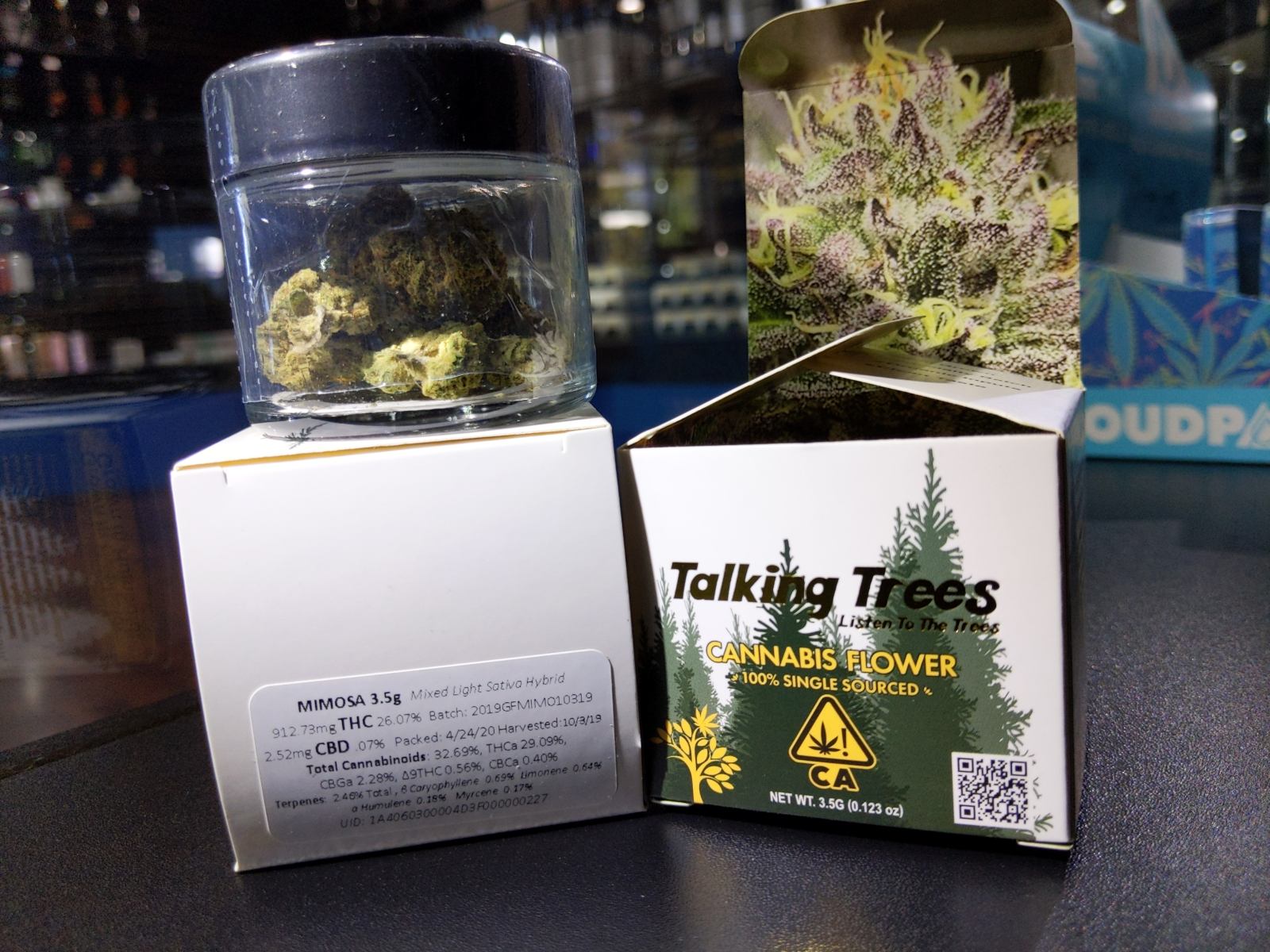 Talking Trees Farm Mimosa 1/8th