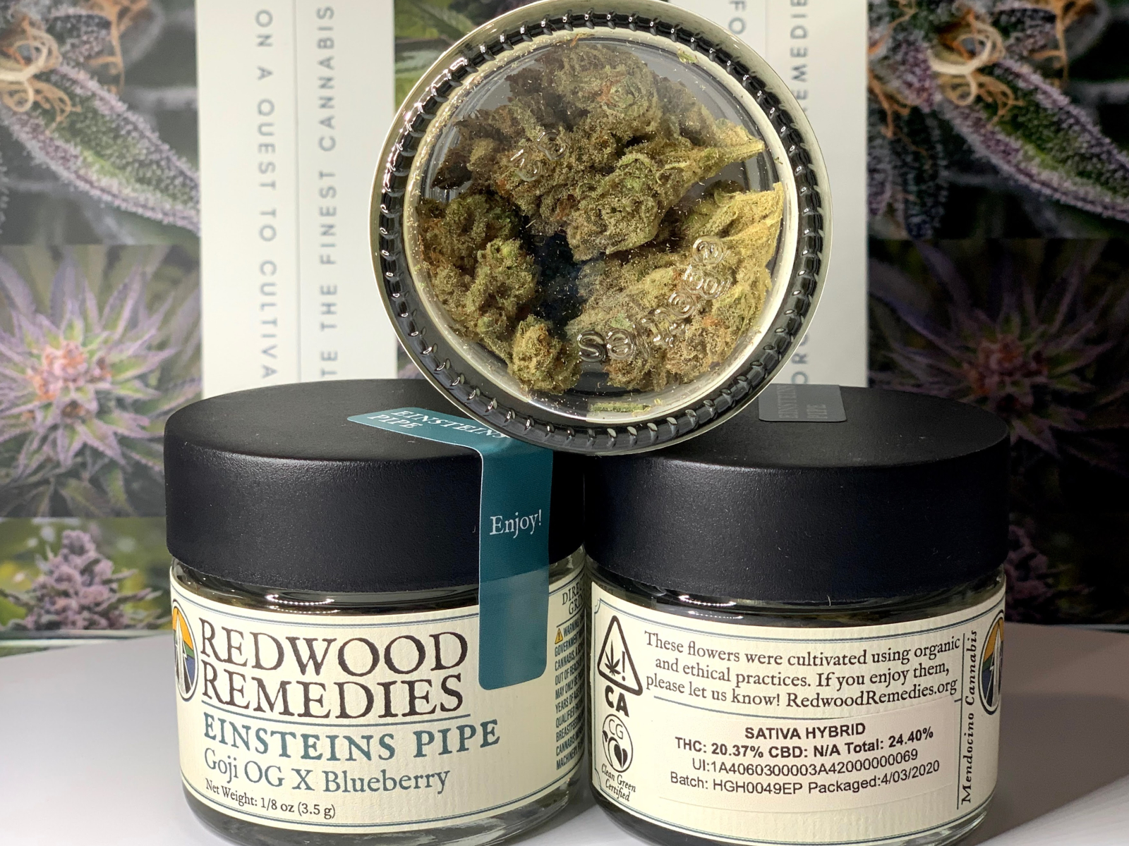 Redwood Remedies Einstein's Pipe 3.5g
