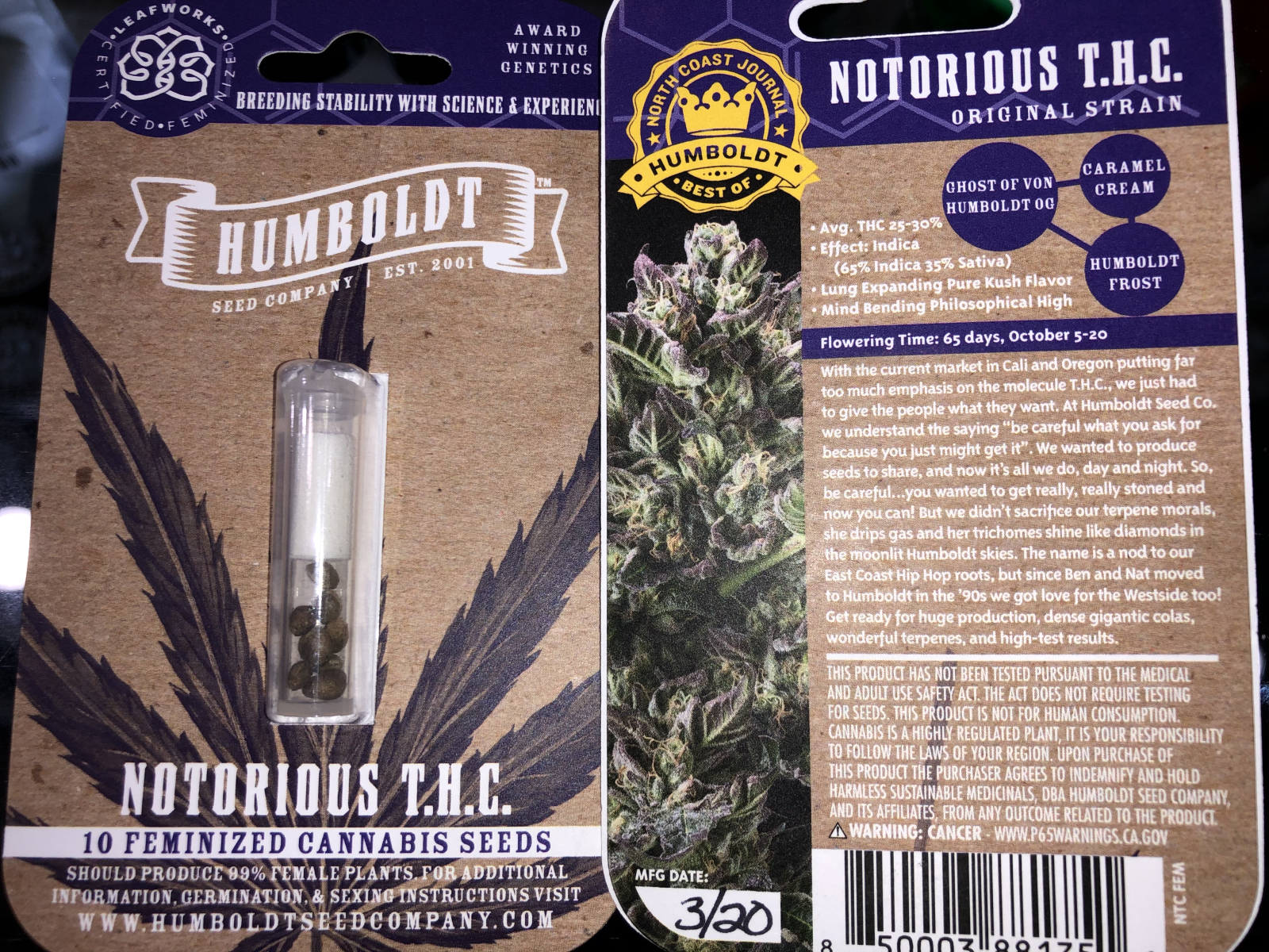 Humboldt Seed Co Notorious THC Feminized