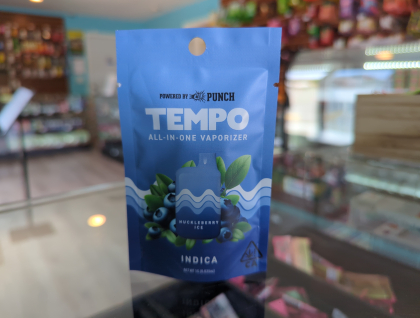 Tempo Huckleberry Ice 1g All In One