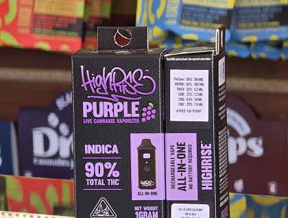 High Rise Purple 1g All in One