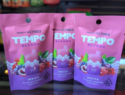 Punch Tempo Blends Space Jelly 1g All In One