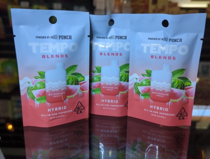 Punch Tempo Blends Watermelon Frost 1g All In one
