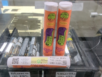 PUFF Orange Tree 1g Preroll