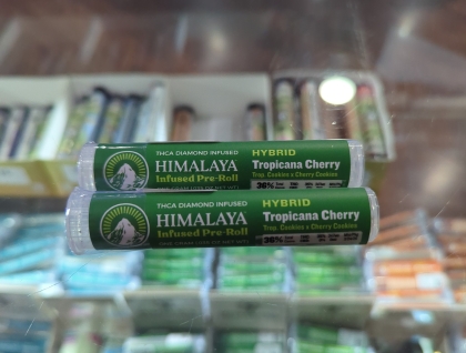 Himalaya Tropicana Cherry 1g  infused Preroll