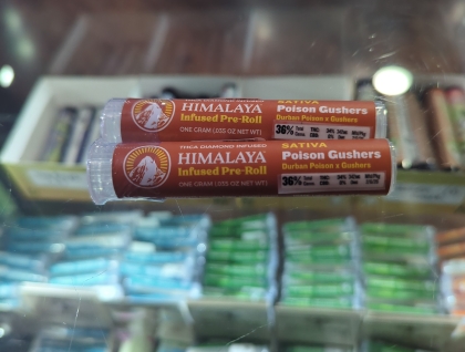 Himalaya Poison Gushers 1g infused Preroll