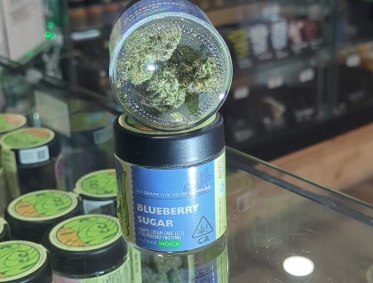 Greenline Blueberry Sugar 3.5g Indoor Flower