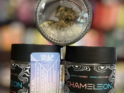 Chameleon Craft Mule Fuel 3.5g Flower
