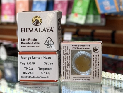 Mango Lemon Haze