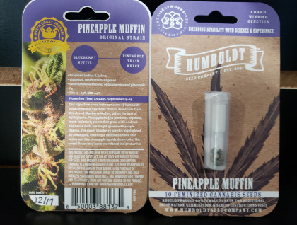 Humboldt Seed Co. Pineapple Muffin Feminized 10ct