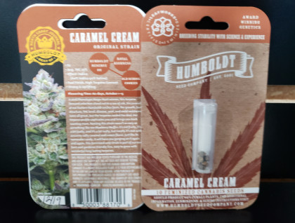 Humboldt Seed Co Caramel Cream Autoflower