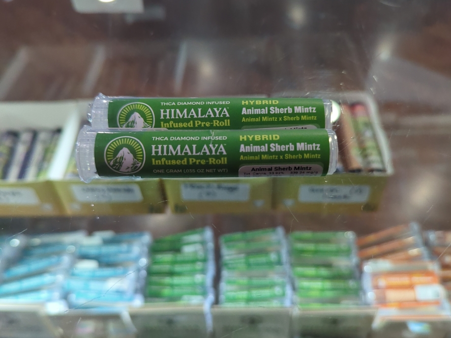 Himalaya Animal Sherb Mintz 1g infused Preroll