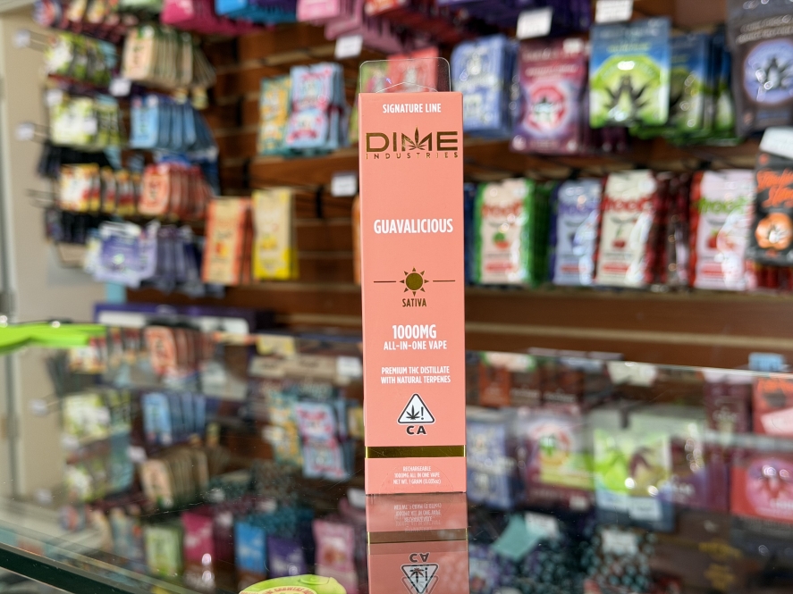 Dime Industries Guavalicious 1g All In One
